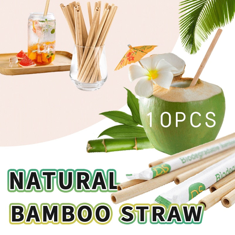 Bamboo Eco-Friendly Reuseable Drinking Straws 10 pcs Eco Environmentally Friendly Sustainable Planet Save Our Oceans